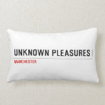 unKNOWN PLEASURES  Pillows (Lumbar)