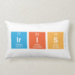 Iris  Pillows (Lumbar)