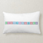 DropBeatsNotBomb  Pillows (Lumbar)