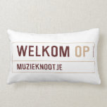 Welkom  Pillows (Lumbar)