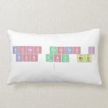 Bones festes i 
 bon any nou
   Pillows (Lumbar)