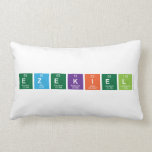 Ezekiel  Pillows (Lumbar)