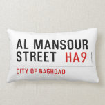 Al Mansour  Street   Pillows (Lumbar)