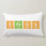 spoon  Pillows (Lumbar)