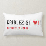 Criblez st  Pillows (Lumbar)