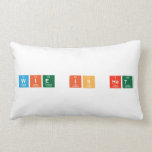 wie is het  Pillows (Lumbar)