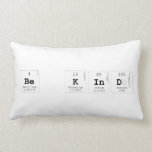 Be Kind  Pillows (Lumbar)