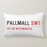 pallmall  Pillows (Lumbar)