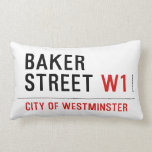 Baker Street  Pillows (Lumbar)
