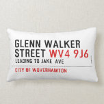 glenn walker street  Pillows (Lumbar)