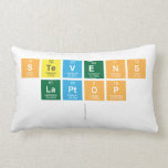 Stevens
 Laptop
   Pillows (Lumbar)
