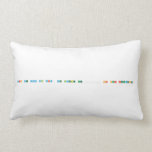 When we add real data, we increase the _______ of our argument.   Pillows (Lumbar)