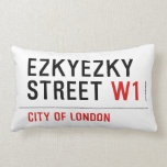 ezkyezky Street  Pillows (Lumbar)