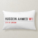 Hussein ahmed  Pillows (Lumbar)
