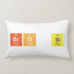 BrO Si  Pillows (Lumbar)