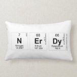 N|erdy  Pillows (Lumbar)