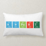 Airport  Pillows (Lumbar)