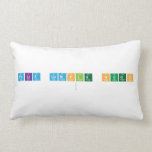 FELIZ CUMPLE HUGO
   Pillows (Lumbar)