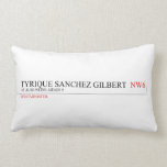 tyrique sanchez gilbert   Pillows (Lumbar)