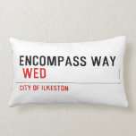 ENCOMPASS WAY   Pillows (Lumbar)