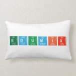 EduMix  Pillows (Lumbar)