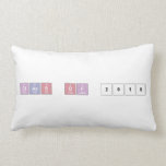 Class of 2018  Pillows (Lumbar)