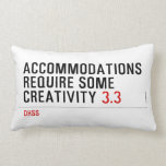 Accommodations require some creativity  Pillows (Lumbar)