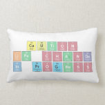 CAUTION
 LIFE CHANGE
 IN PROGRESS  Pillows (Lumbar)