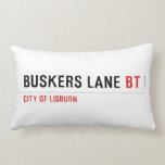 BUSKERS LANE  Pillows (Lumbar)