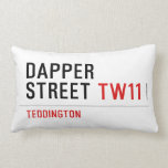 DAPPER Street  Pillows (Lumbar)
