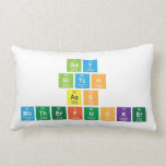 Gay
 Bitch
 Ass
 MotherFucker  Pillows (Lumbar)