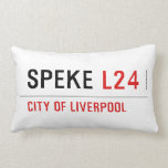 Speke  Pillows (Lumbar)