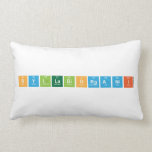 SyllabiOrganii  Pillows (Lumbar)