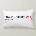 EU-2828OU/LOS  Pillows (Lumbar)