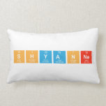 shyanne  Pillows (Lumbar)
