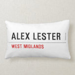 Alex Lester  Pillows (Lumbar)