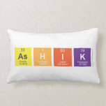 AsHIK  Pillows (Lumbar)