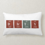 Dirty  Pillows (Lumbar)