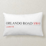 Orlando Road  Pillows (Lumbar)