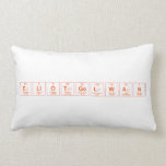 EliotGelwan  Pillows (Lumbar)