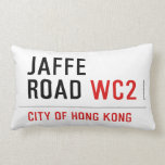 Jaffe Road  Pillows (Lumbar)
