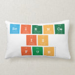 Science
 is
 fun  Pillows (Lumbar)