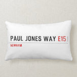 Paul Jones Way  Pillows (Lumbar)