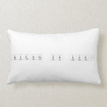 Science is Fun!  Pillows (Lumbar)