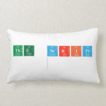 The Script 
   Pillows (Lumbar)