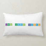 kamal uddin rayhan  Pillows (Lumbar)