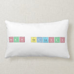 Sean Callahan  Pillows (Lumbar)