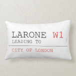 larone  Pillows (Lumbar)