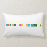 Science is sweet as  Pillows (Lumbar)