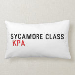 SYCAMORE CLASS   Pillows (Lumbar)